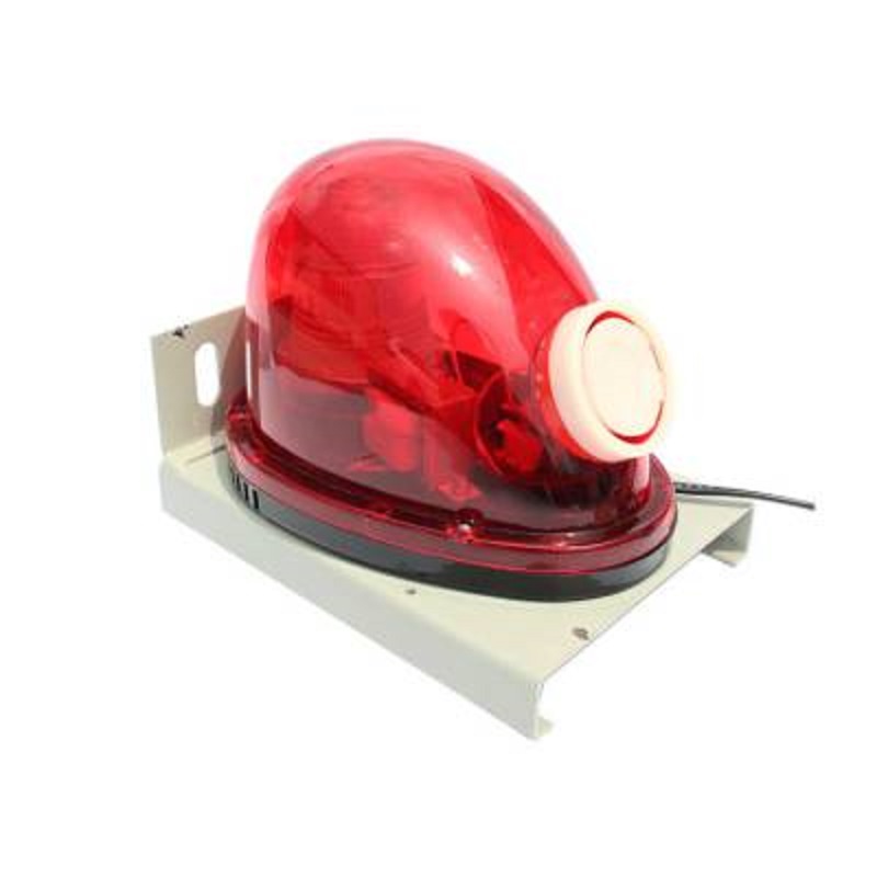 TLNMDL-P�������(b��o)����T